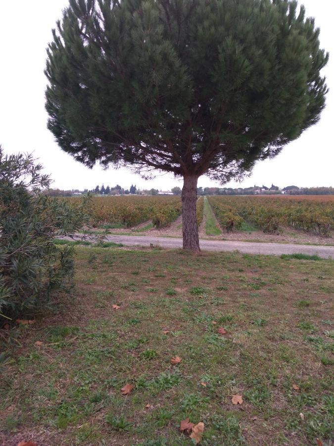Privatunterkunft Peniche Farniente Climatisee Region Touristique Aux Portes De La Camargue