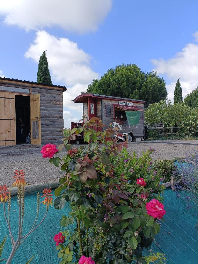 Peniche Farniente Climatisee Region Touristique Aux Portes De La Camargue Bellegarde (Gard)