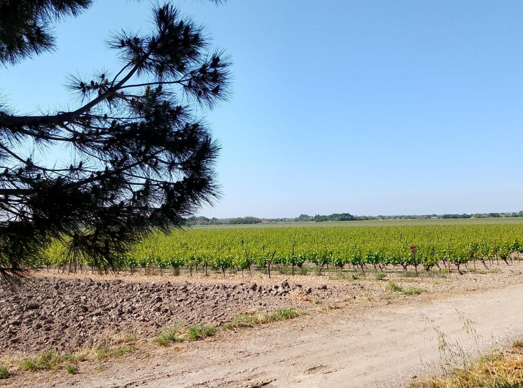 Privatunterkunft Peniche Farniente Climatisee Region Touristique Aux Portes De La Camargue *